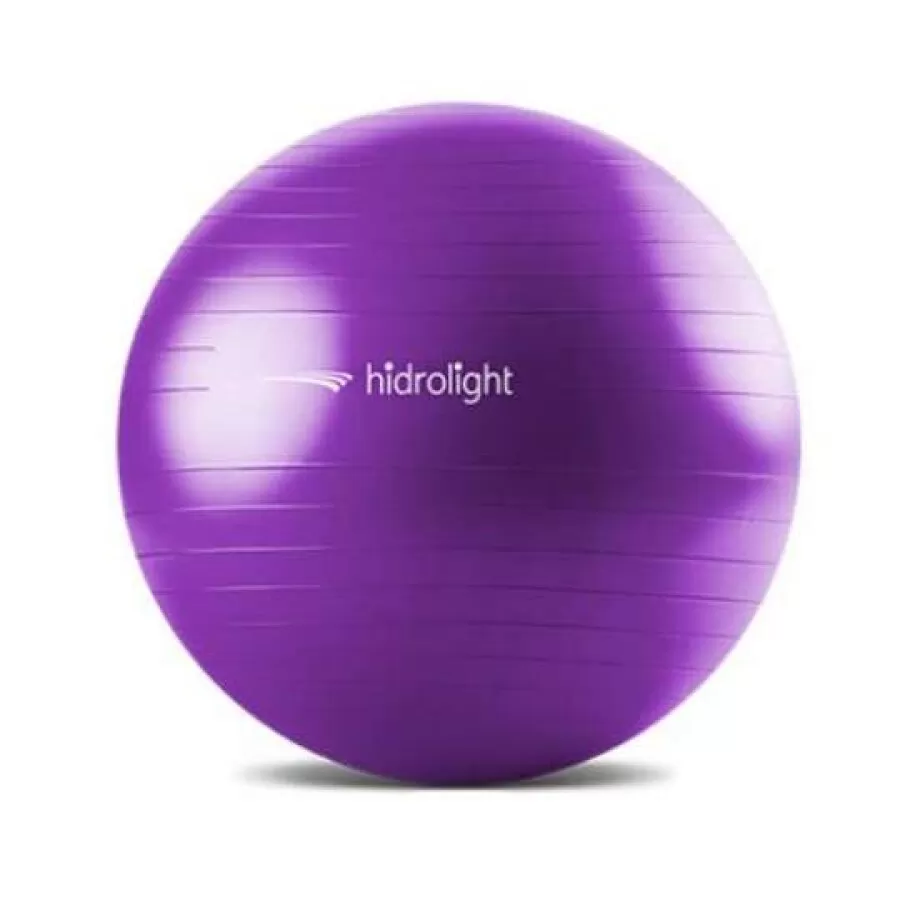 BOLA DE EXERCICIOS 65CM  Roxo